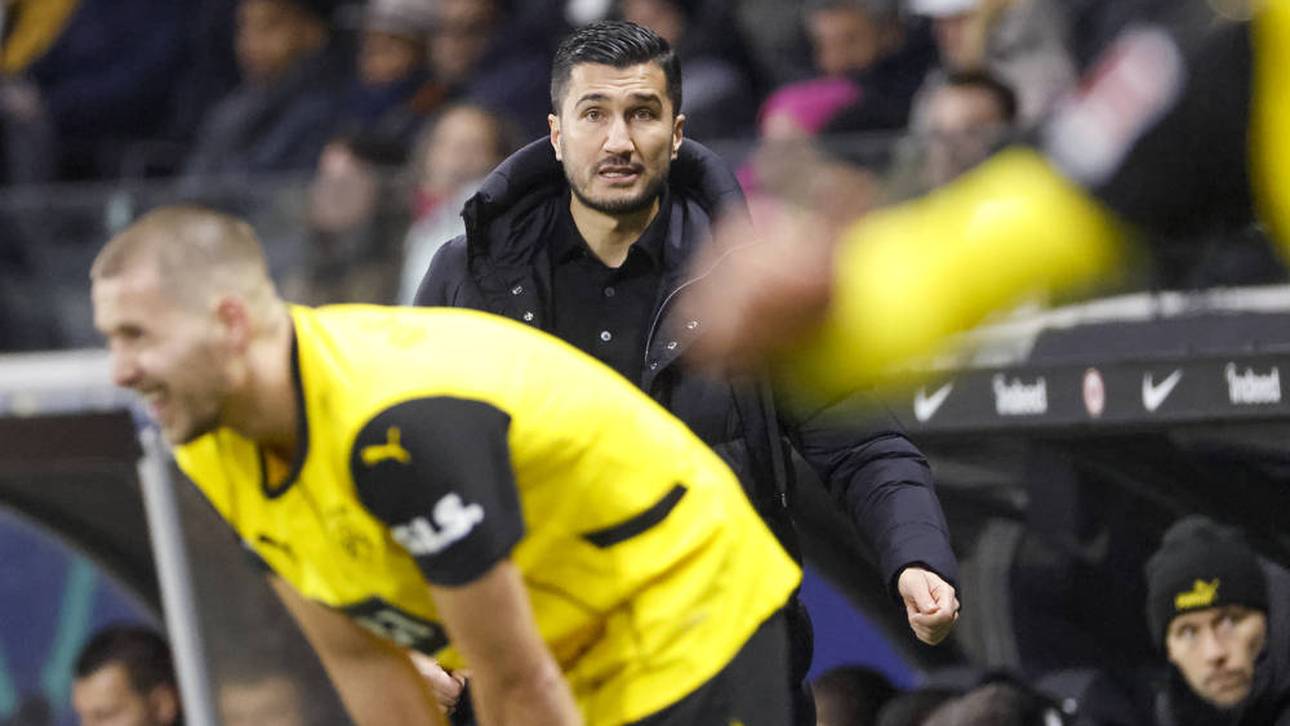 BVB-Krise immer schlimmer