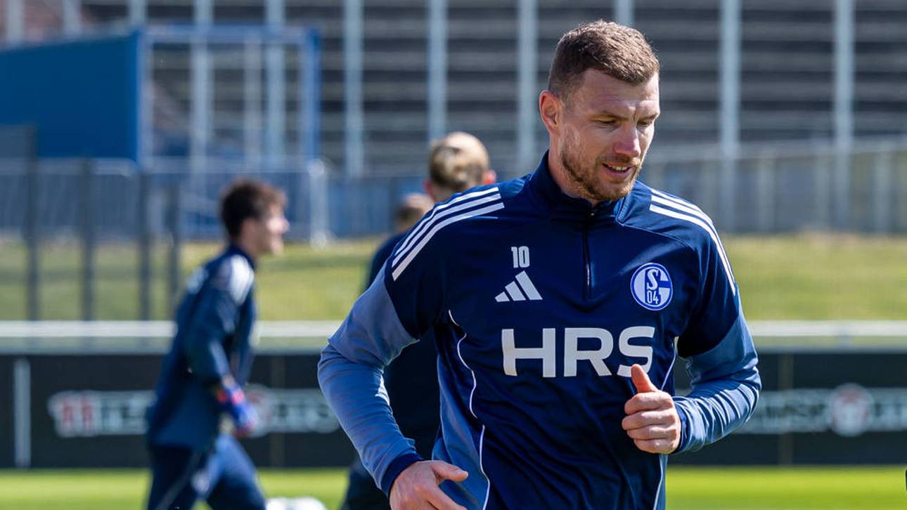 Schalke hofft auf baldige Dzeko-Rückkehr