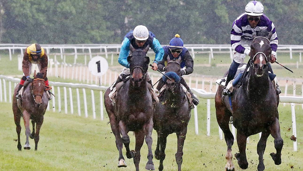 Allofs‘ Pferd gewinnt in Berlin