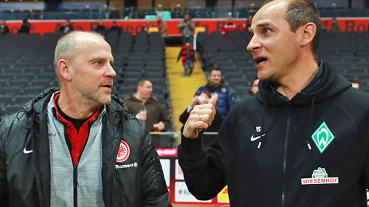 Schaaf mag Skripnik nicht helfen