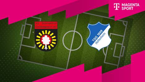 Sonnenhof Großaspach - TSG Hoffenheim II: Tore und Highlights | 3. Liga