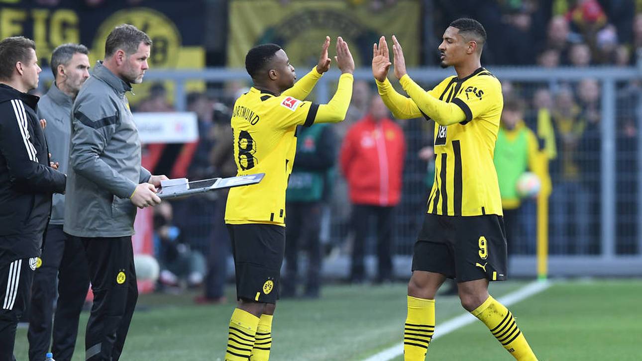 Der BVB hat Youssoufa Moukoko (l.) und Sebastien Haller (r.) derzeit verliehen