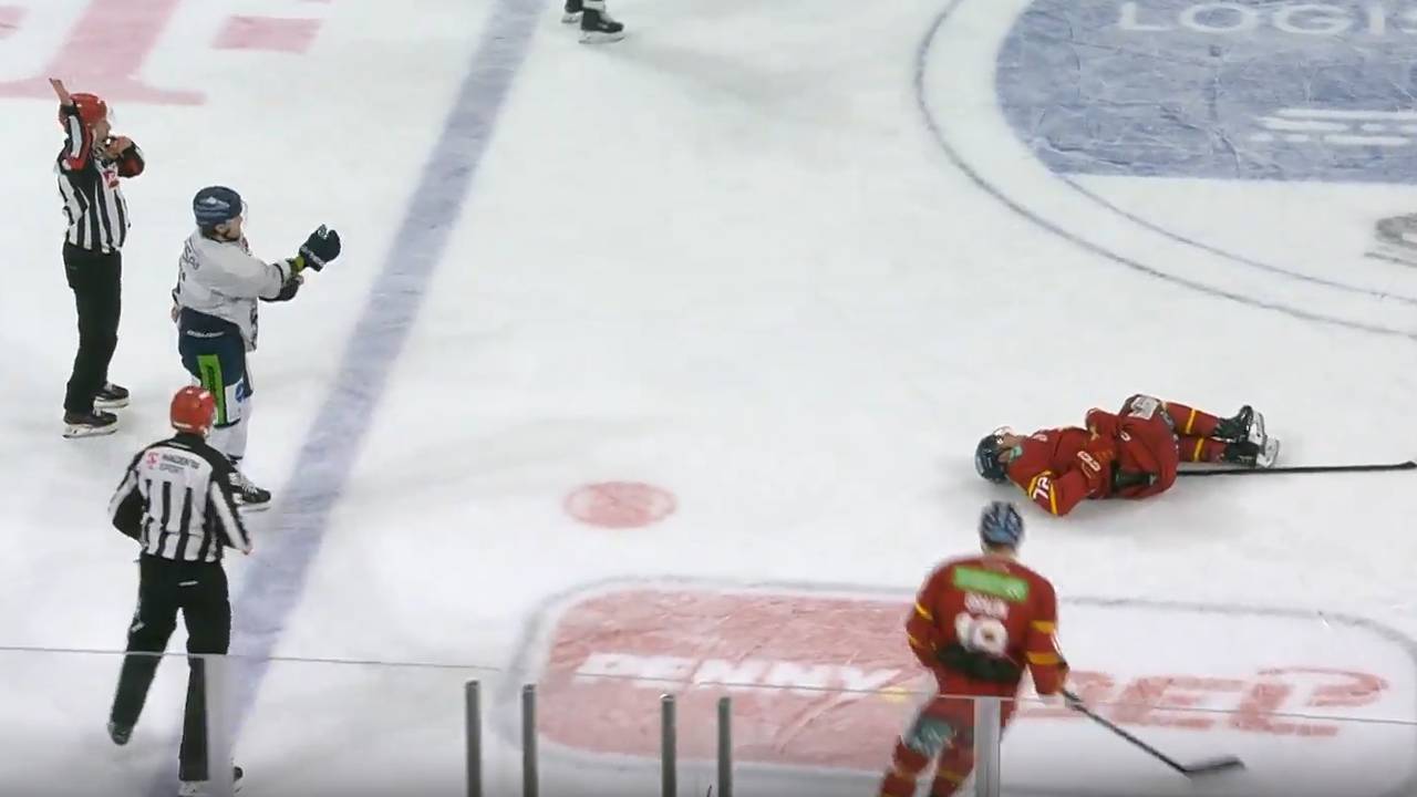 Spielsperre! Dieses Foul hat es in sich I Eishockey DEL Düsseldorf - Straubing