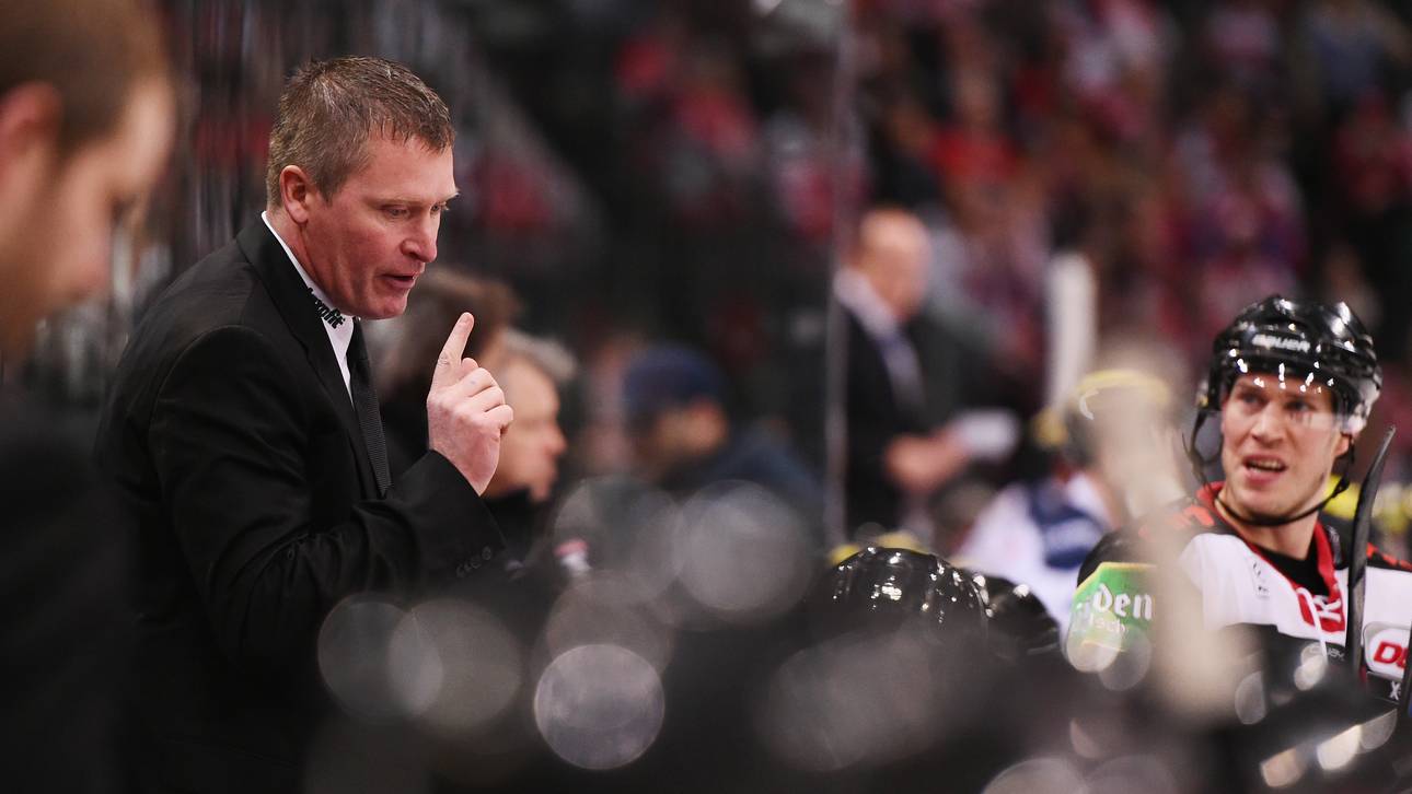 Kölner Haie verpassen Playoffs