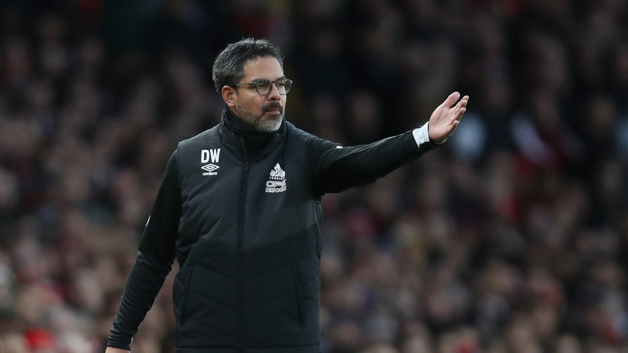 Schalke offenbar mit Wagner einig