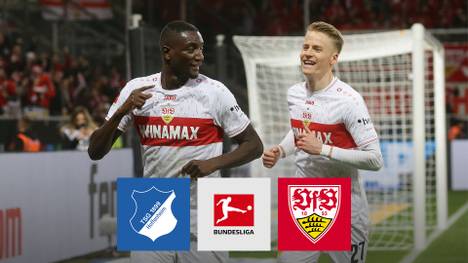 Der VfB Stuttgart spielt die TSG Hoffenheim im eigenen Stadion über weite Strecken an die Wand - und darf mehr denn je von der Champions League träumen.