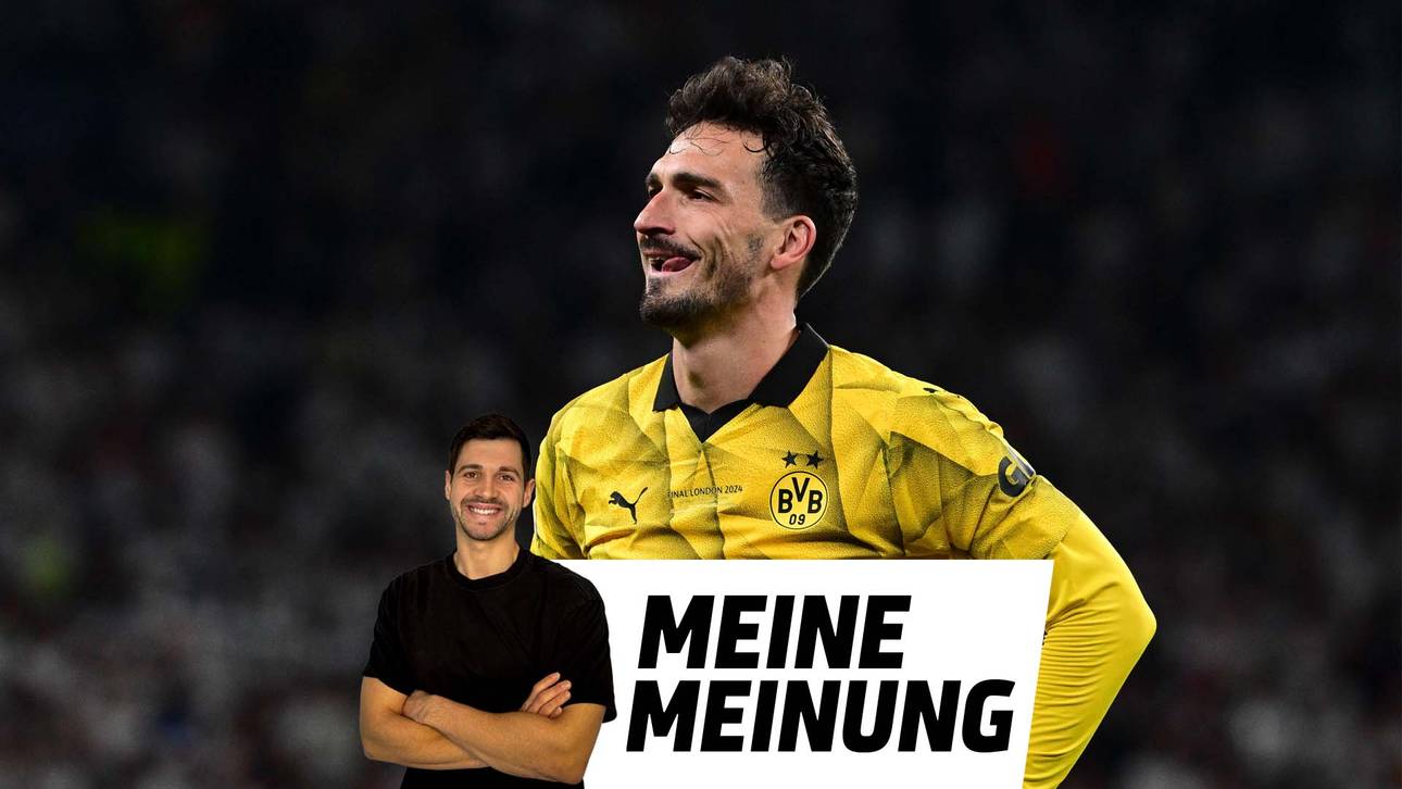 Hummels beschädigt sein Denkmal