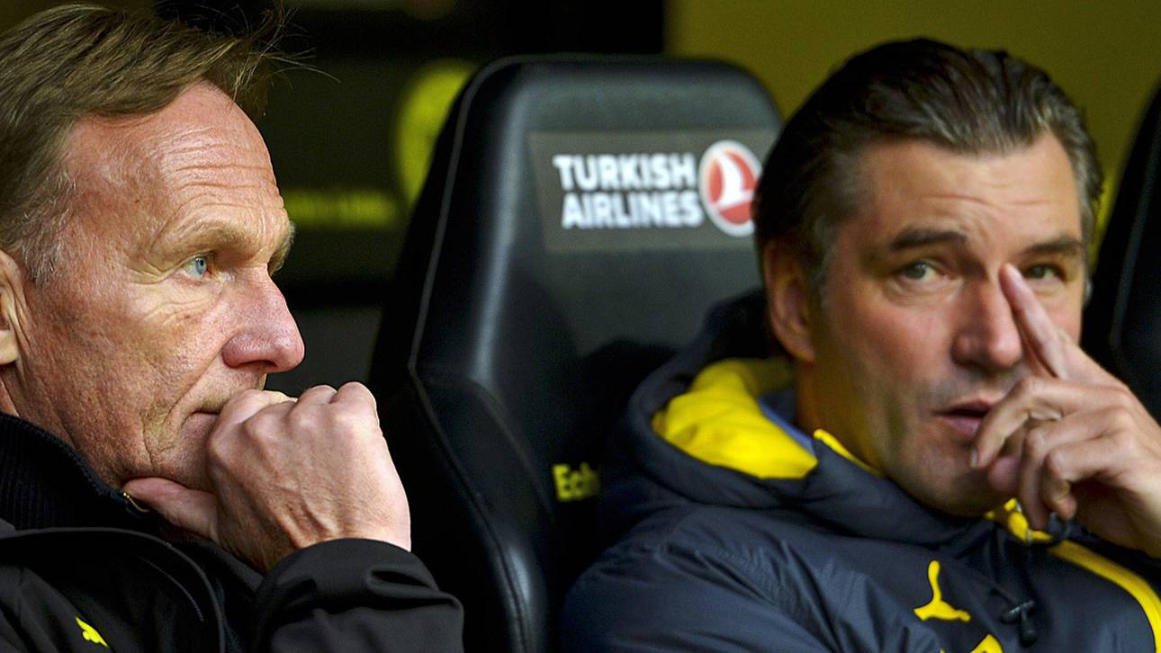 BVB reicht Antrag für Zweite Liga ein