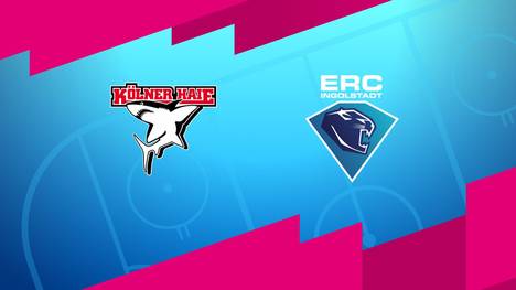 Kölner Haie - ERC Ingolstadt: Tore und Highlights | PENNY DEL