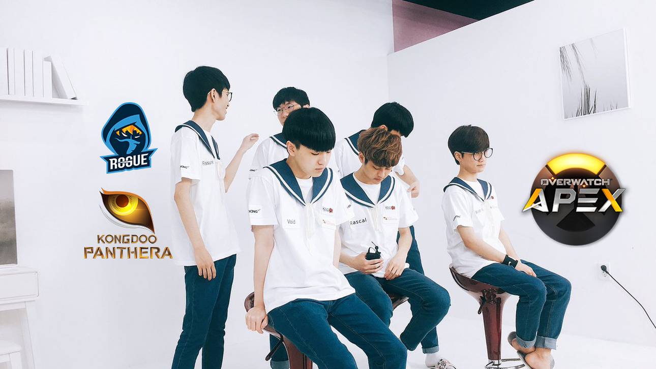 KongDoo Panthera fertigt Rogue ab