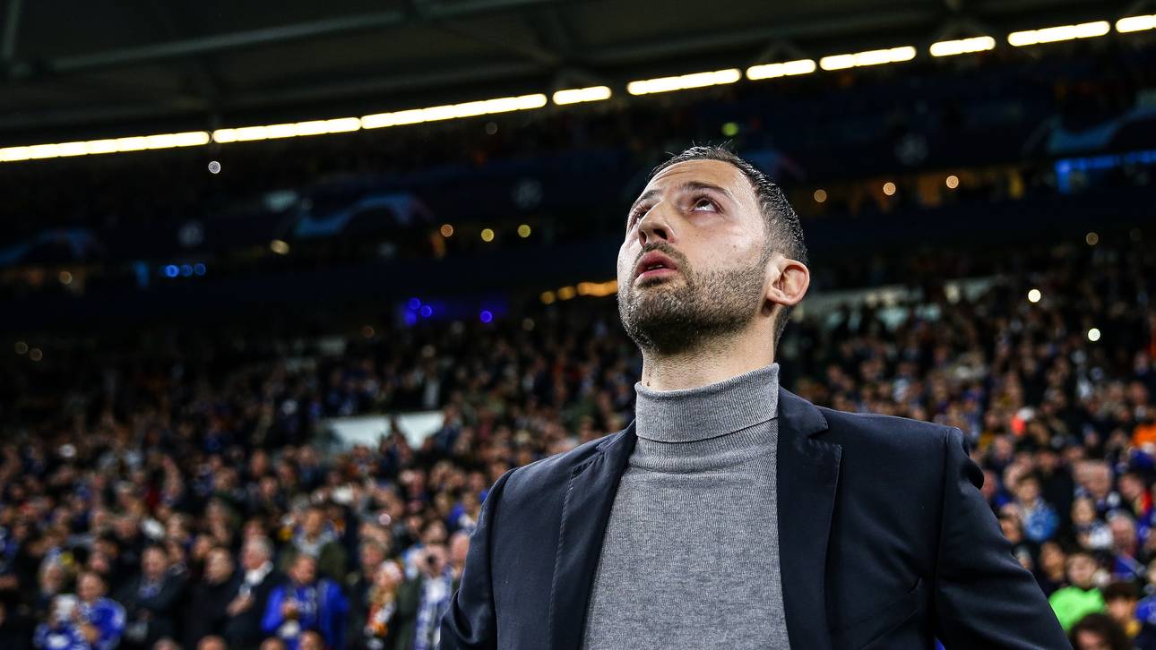 Wie Schalke in Abstiegsnot geriet