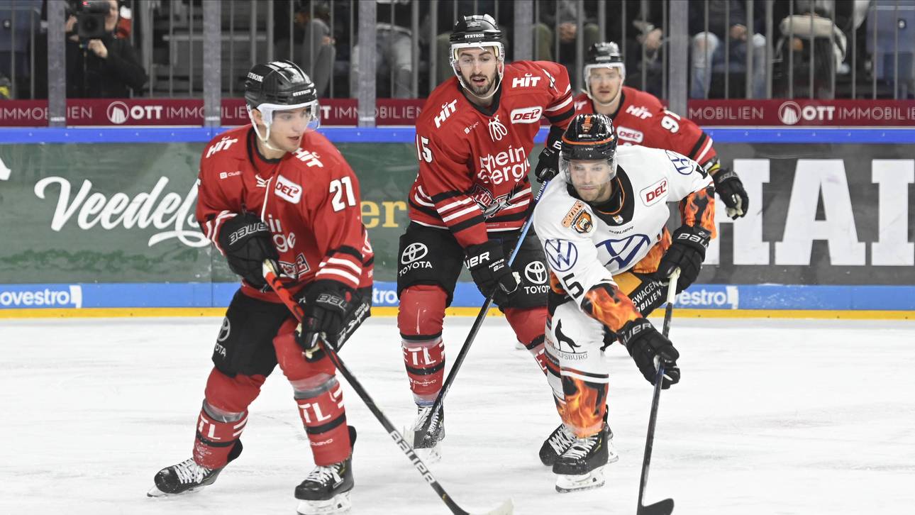 Haie beenden epische Pleitenserie