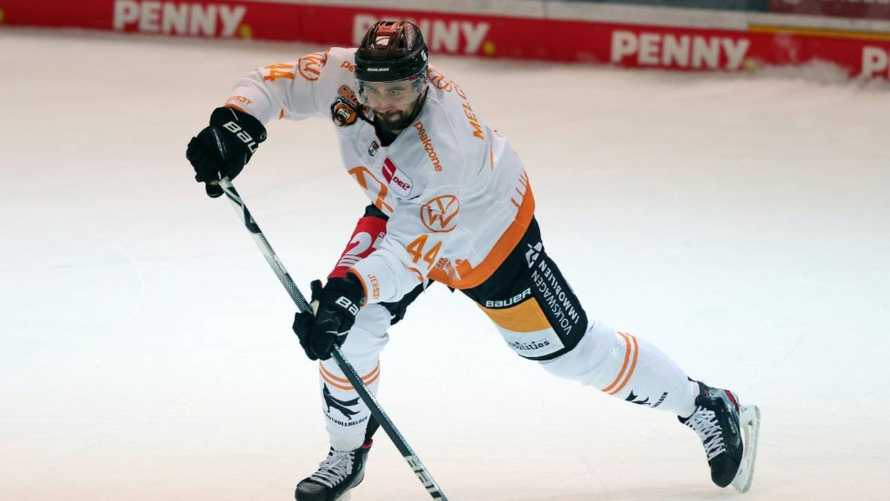 Eisbären wildern in Wolfsburg