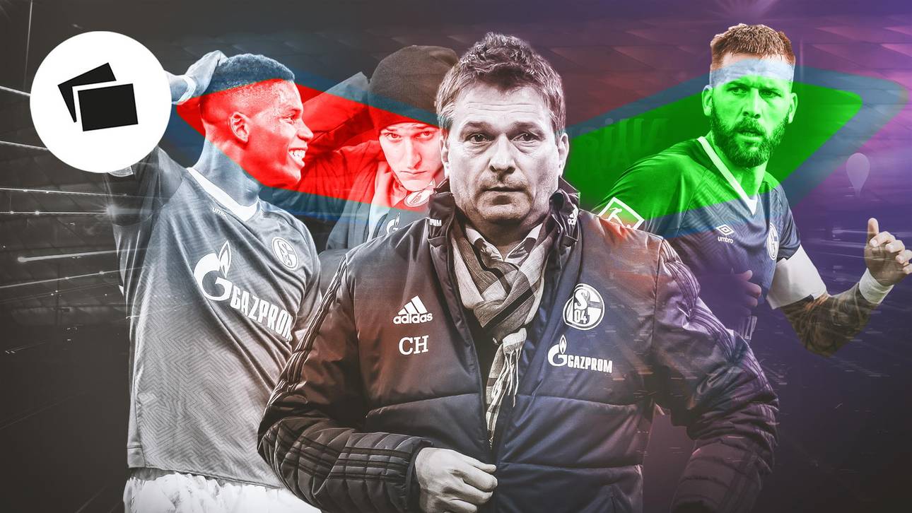 Heidels Transferbilanz auf Schalke