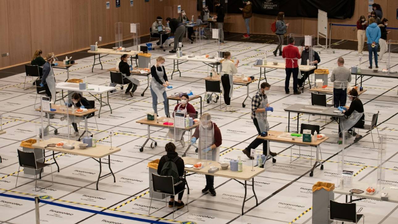 Eulen können weiter zu Hause spielen
