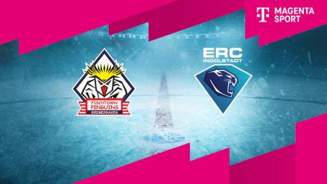 Pinguins Bremerhaven - ERC Ingolstadt: Tore und Highlights | PENNY DEL