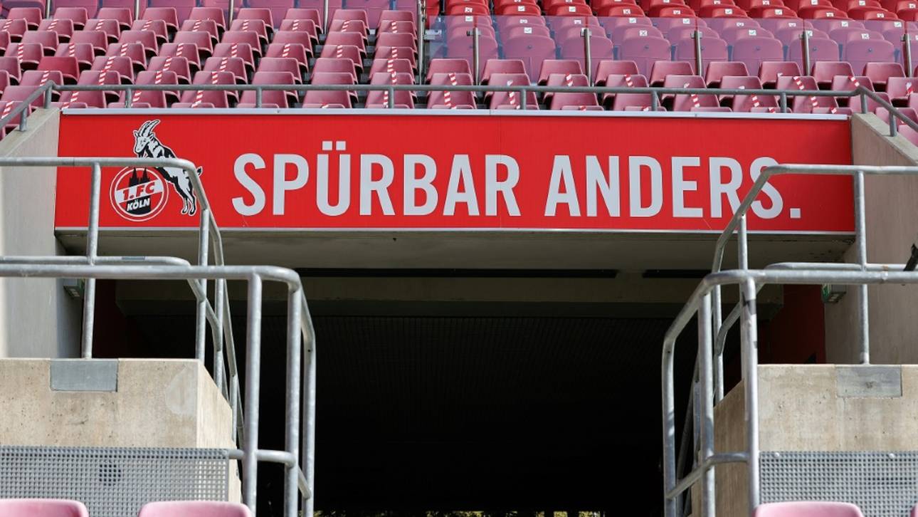 Köln stellt Karnevalstrikot vor