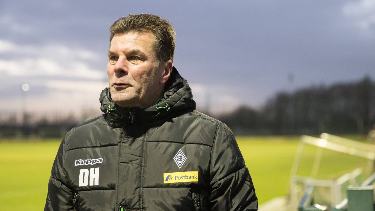 Hecking: „Als Trainer die ärmste Sau“