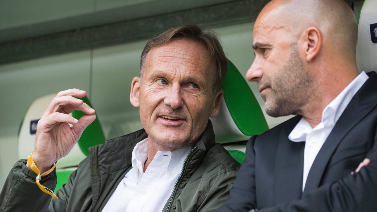 Watzke lobt Bosz und Aubameyang