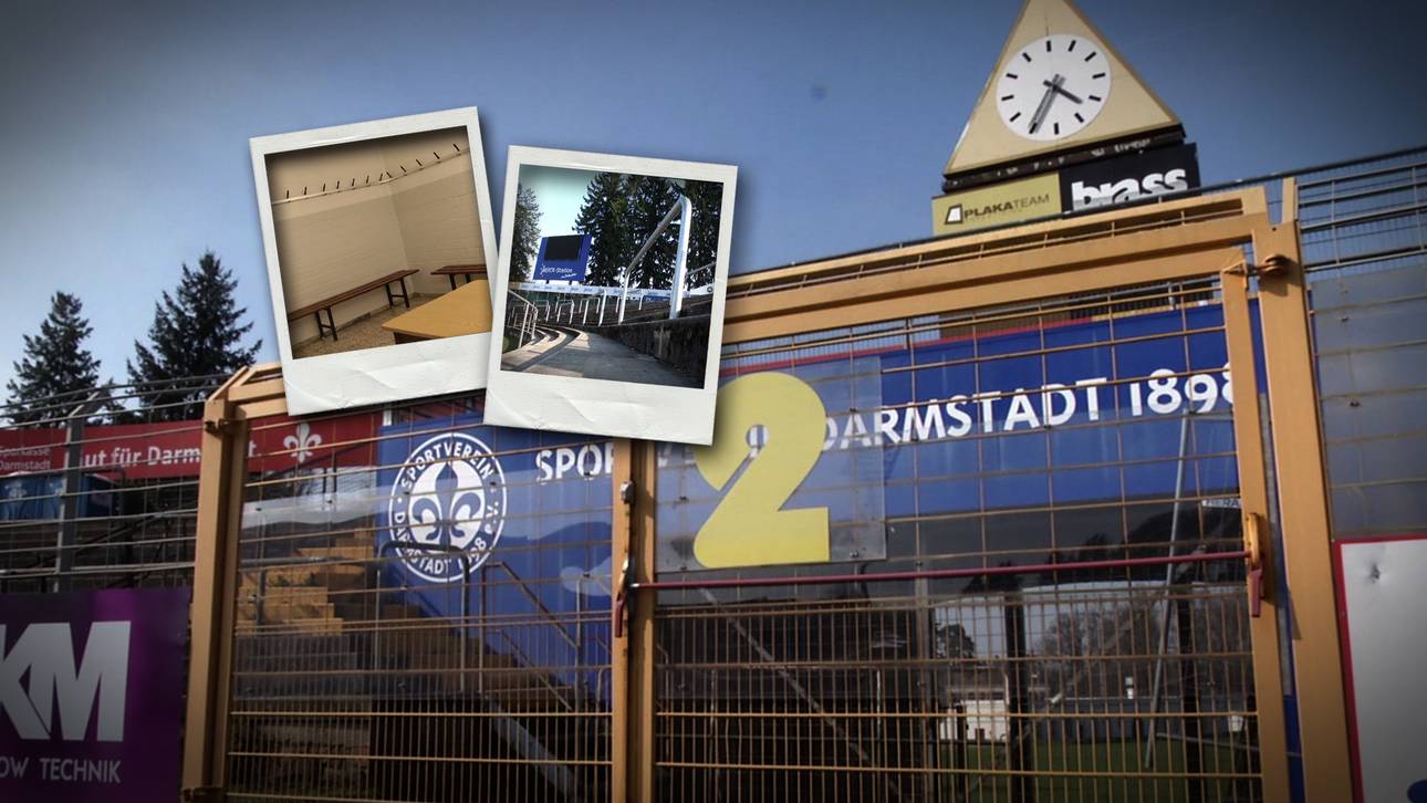 Hier sollen die Bayern spielen?