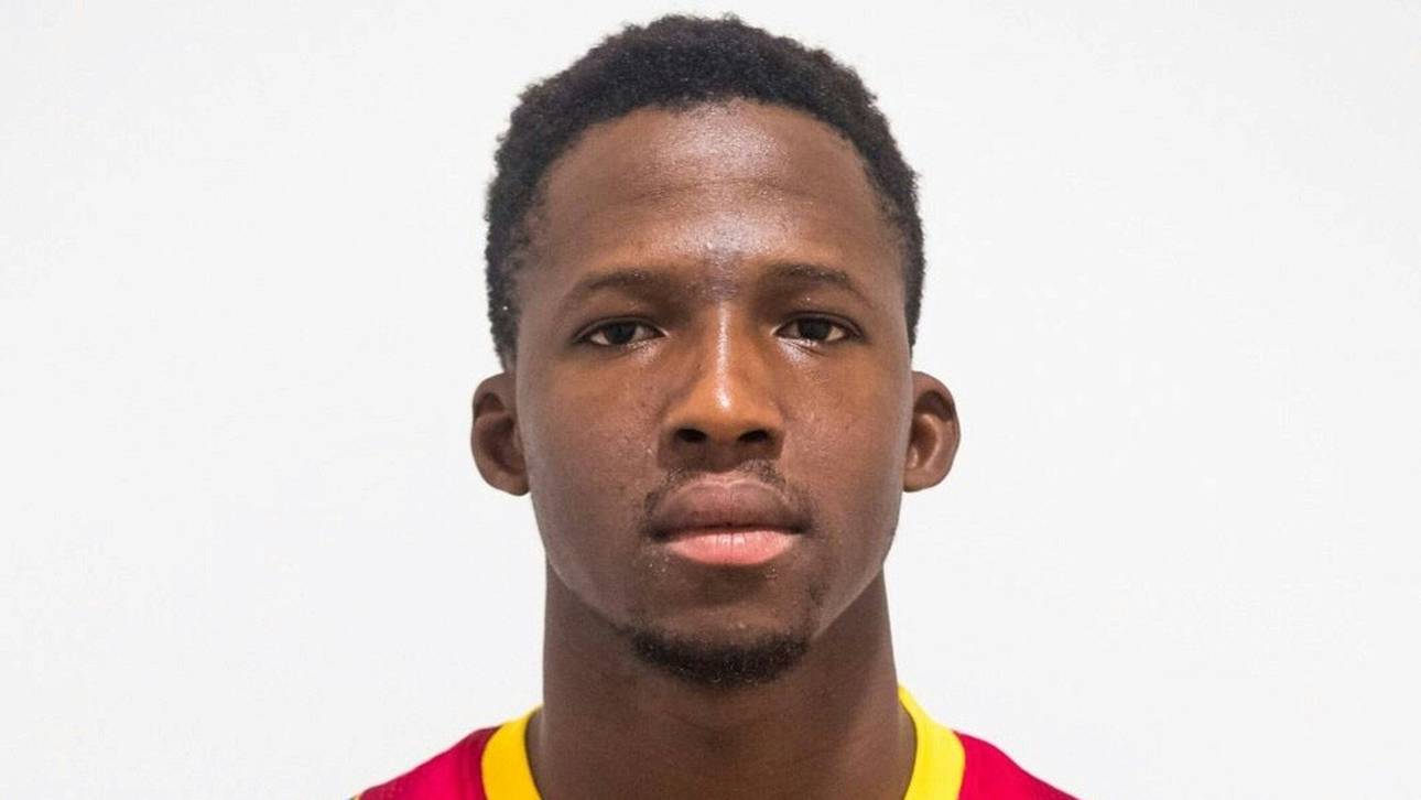 Handball: Rhein-Neckar Löwen holen Rechtsaußen Diocou