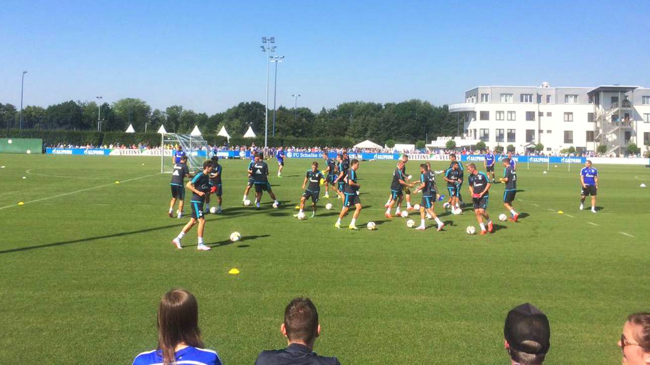 Schalker Fans feiern Breitenreiter
