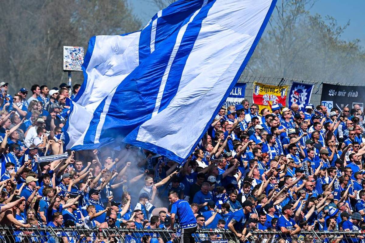 Zweitliga-Arzt rettet Fan das Leben