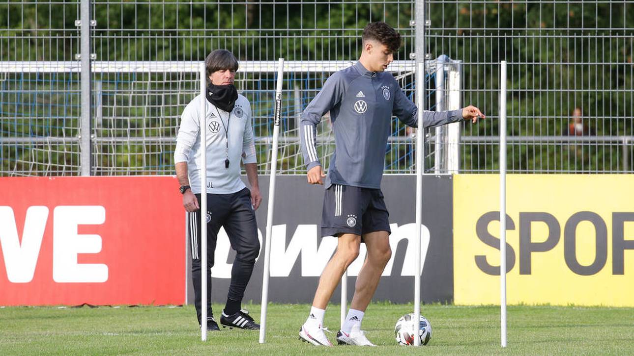 Darum hat Havertz nicht gespielt