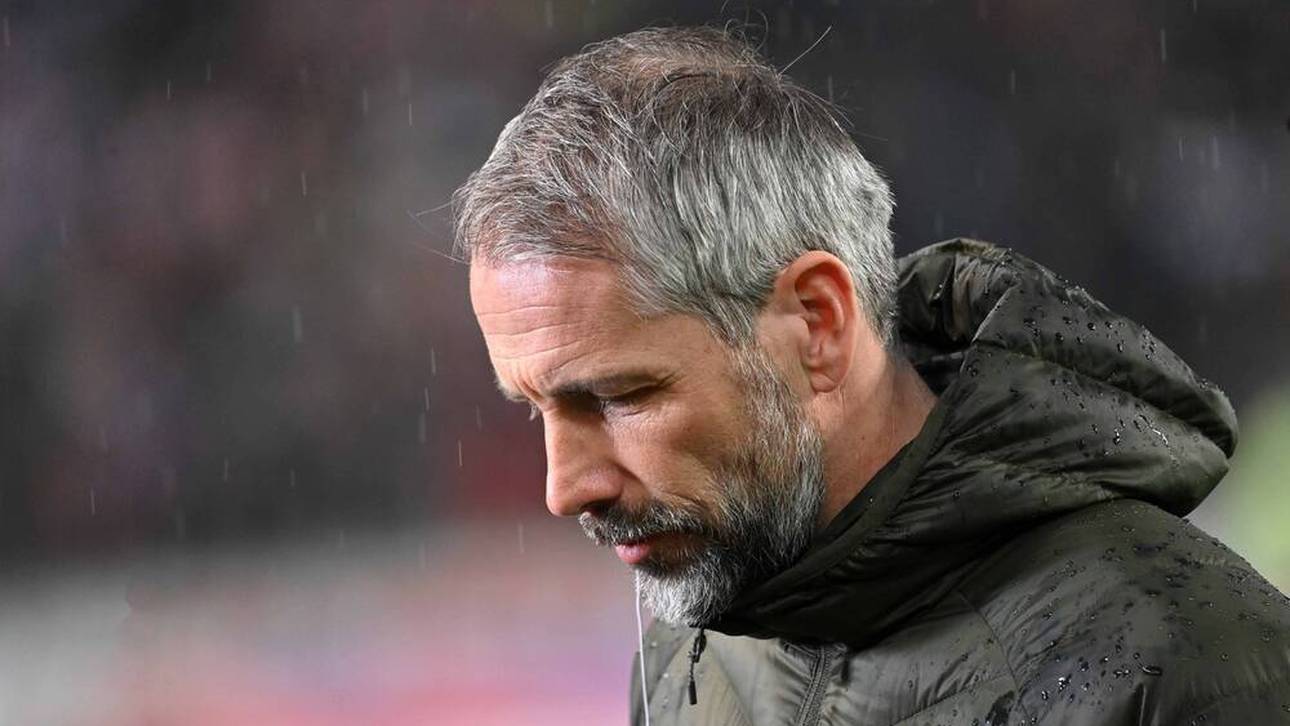 Wie der Rose-Hype verblasste