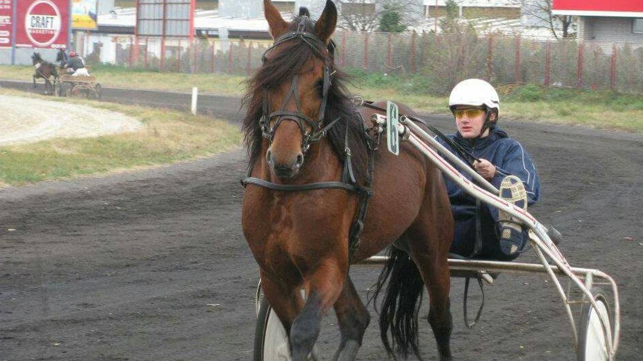 Nikola Jokic versuchte sich früher als Pferde-Jockey