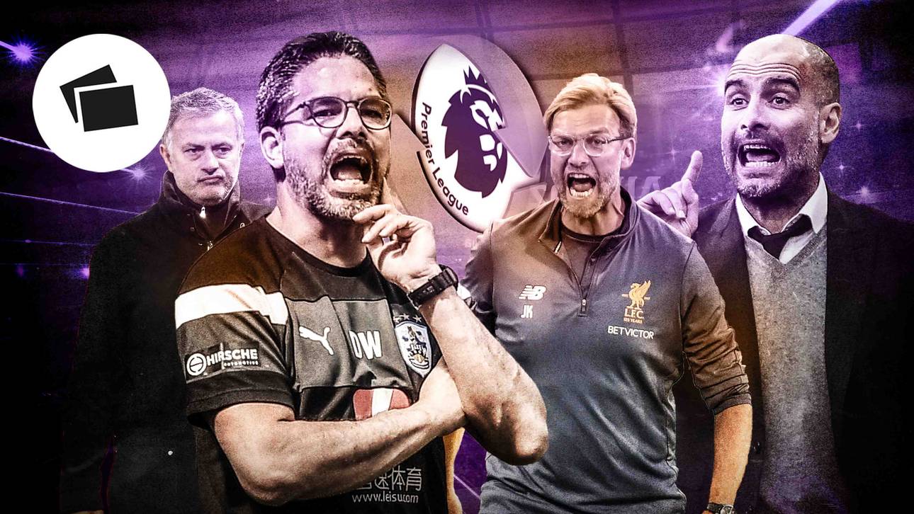 Die Premier League im Ligacheck