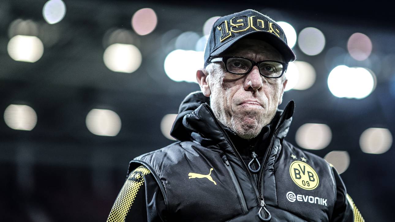 Ist Stöger wirklich die BVB-Zukunft?