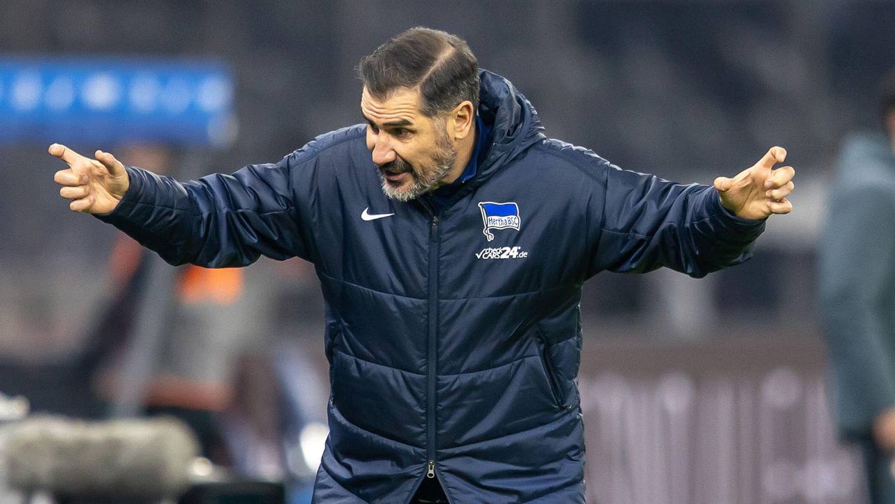 Düsseldorf – Hertha Tipp, Prognose & Quoten | 15.02.2025