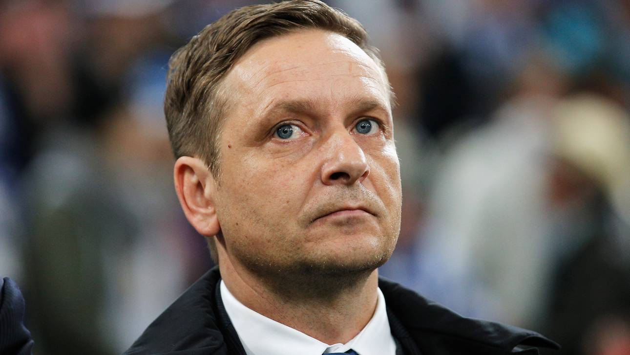 Heldt motzt über HSV: „Frechheit!“