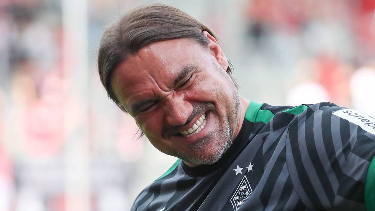 Neuer Job für Ex-Gladbach-Coach