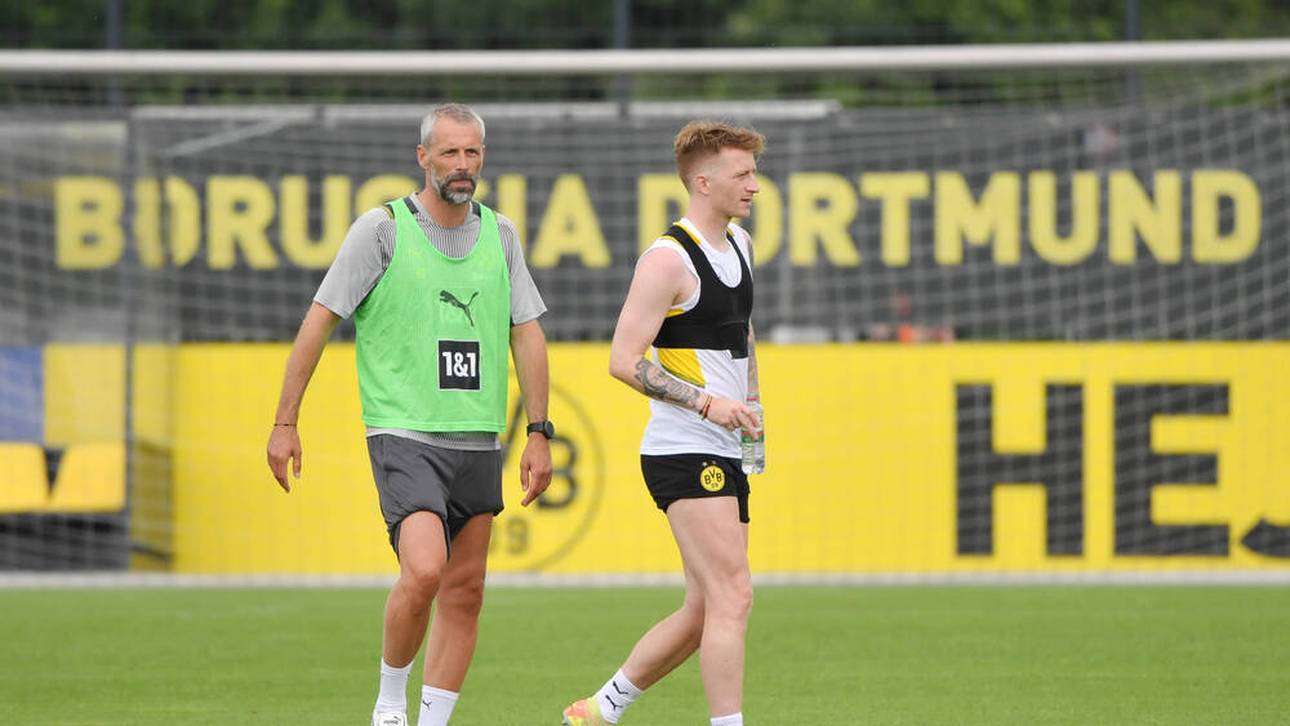 Diesen Eindruck hat Reus von Rose