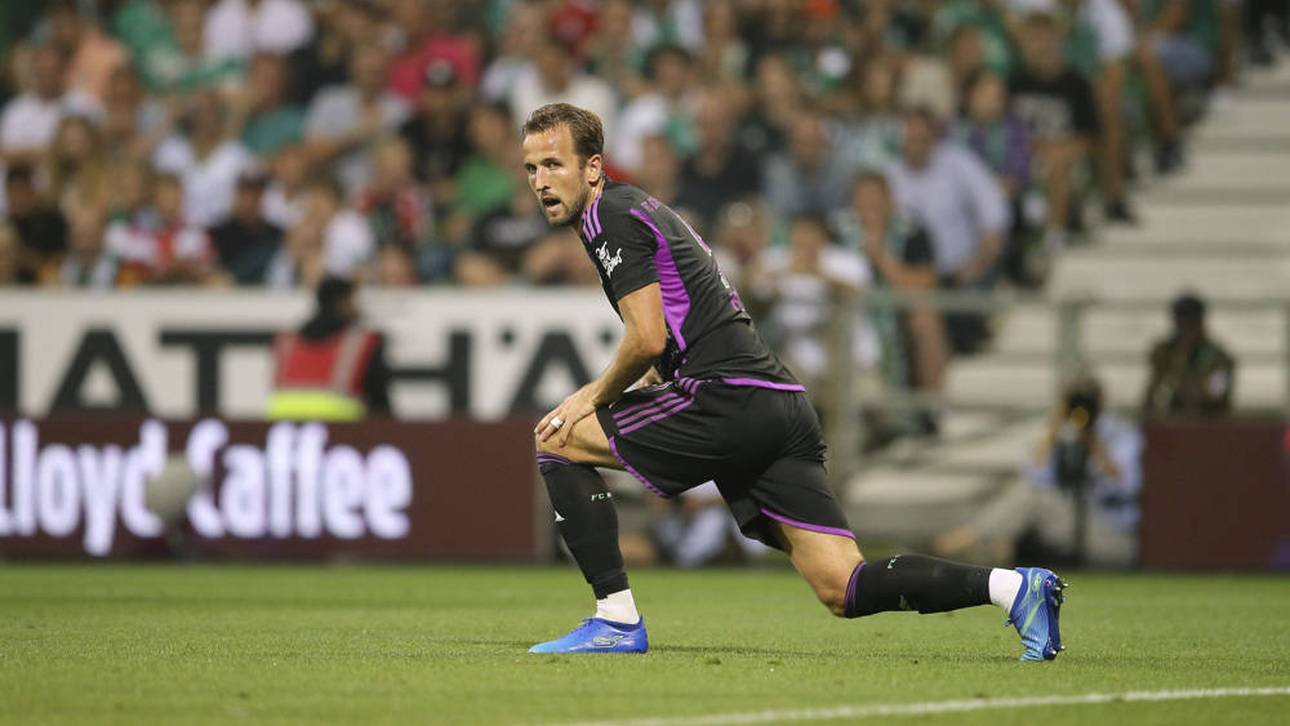 Moderator: Kane “wie Erdkunde-Lehrer“