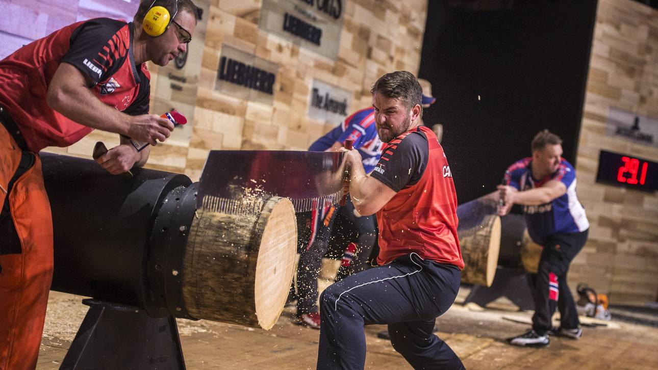 Baumfällen – aber richtig!