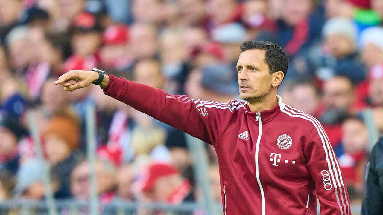 So viel bekommt Bayern für Toppmöller