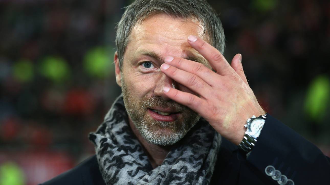 Fall Werner: Linke will Video-Schiri