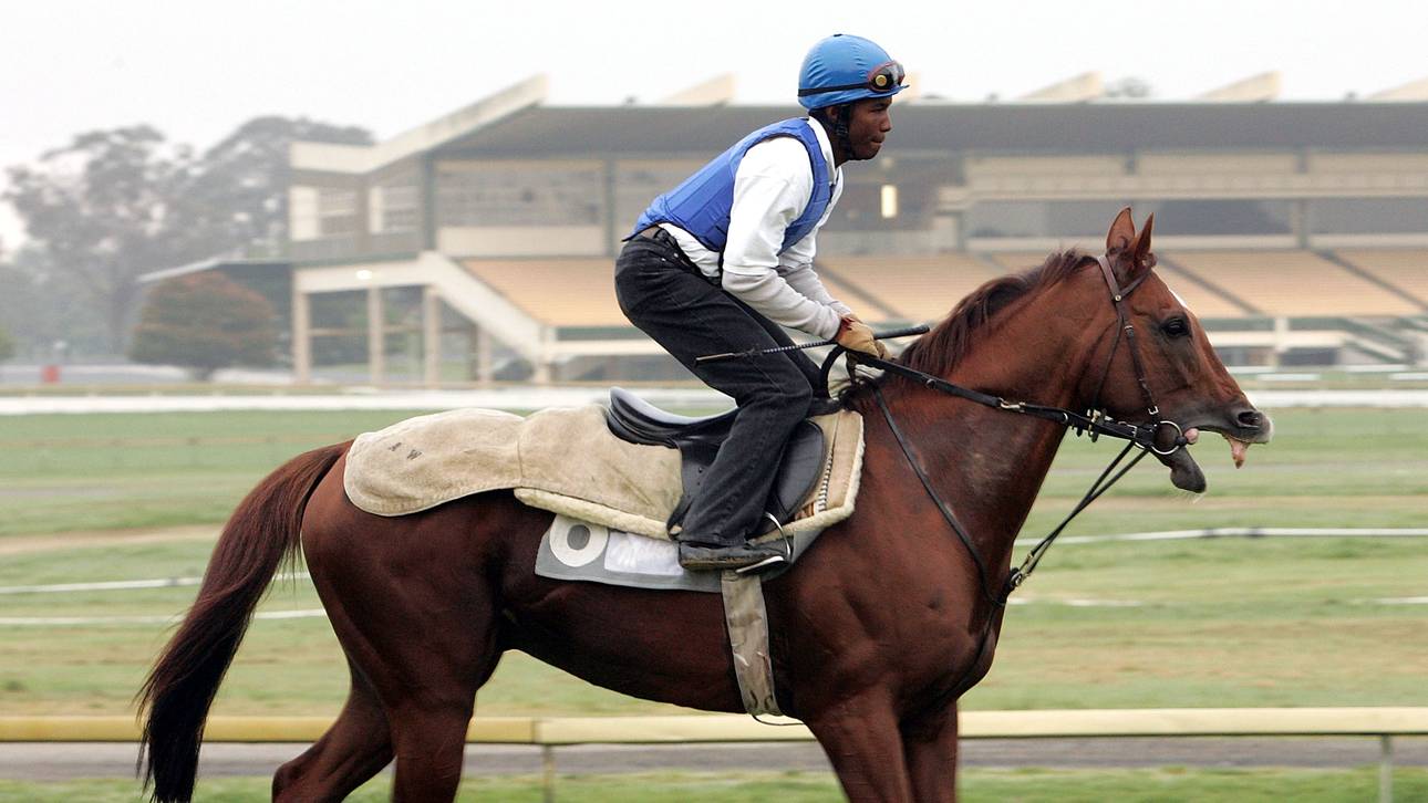 Turfdonna gewinnt Preis der Diana