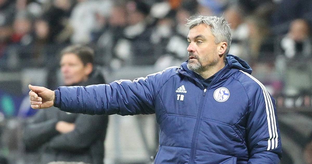 Es Ist Beschissen Doch Schalke Sch Pft Neue Hoffnung