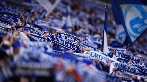FC Schalke 04 v 1. FC Koeln - Bundesliga