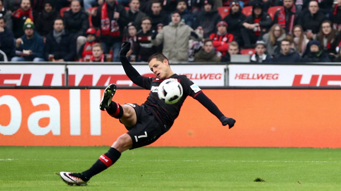 Chicharito verschafft Schmidt Luft