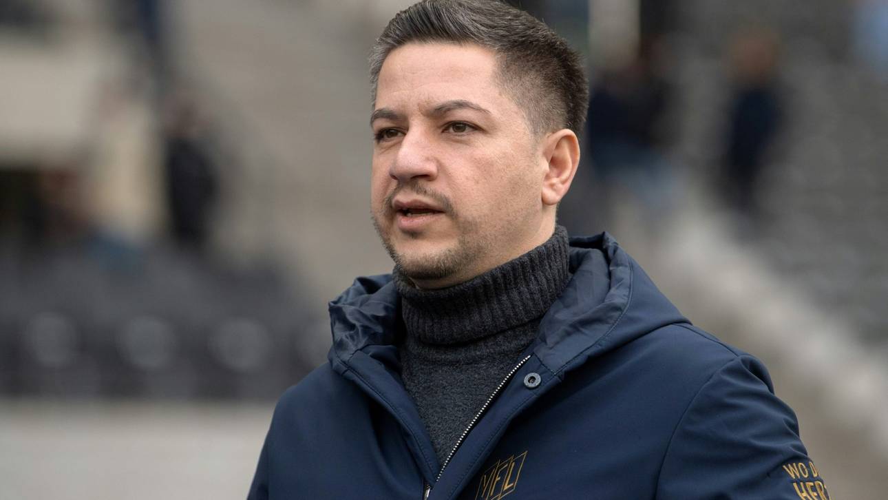 Shapourzadeh zurück bei Hansa