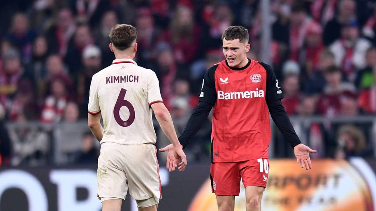 Hintergründe zum Wirtz-Hammer