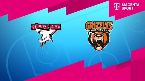 EHC Red Bull München - Augsburger Panther: Tore und Highlights | PENNY DEL