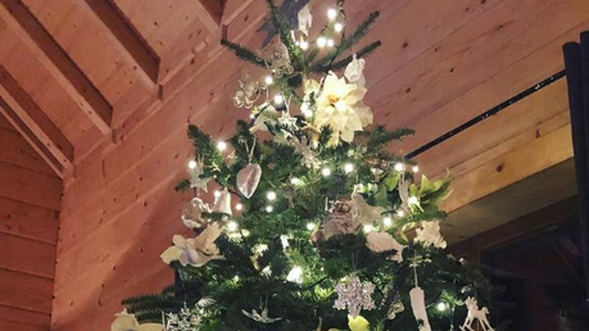 ... sondern auch das Zuhause: Der Weihnachtsbaum ist reichlich geschmückt und glänzt in silber und weiß