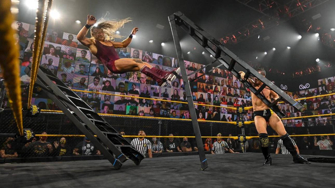 Brutales Leitermatch bei WWE NXT