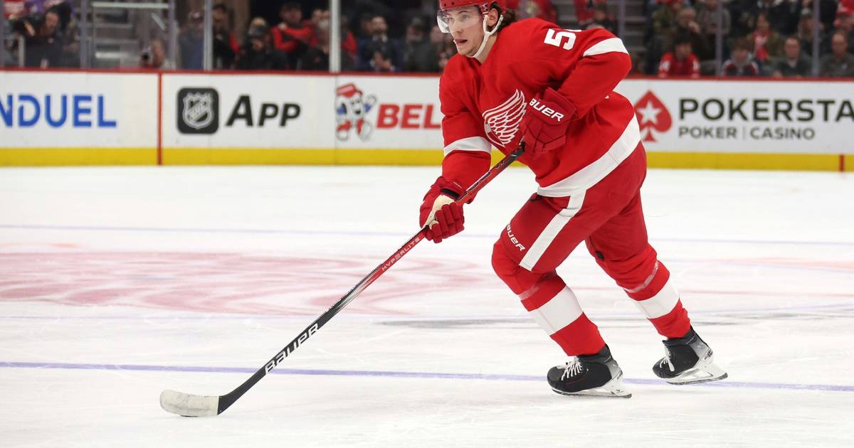 Moritz Seider's Success with Detroit Red Wings in NHL Recap of the